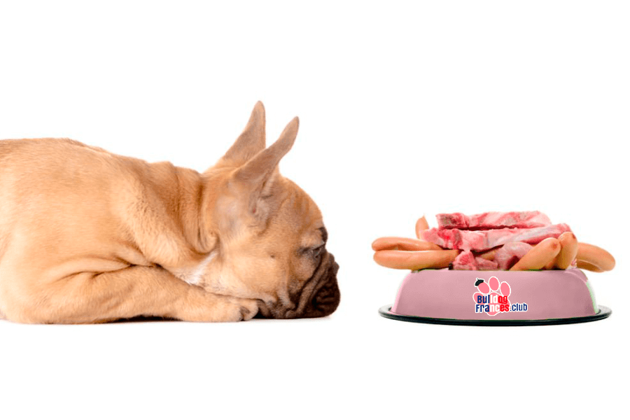 Recetas Comida casera para tu bulldog francés