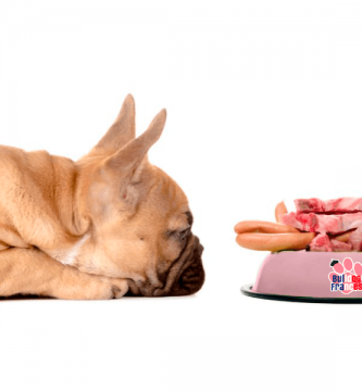 Recetas Comida casera para tu bulldog francés
