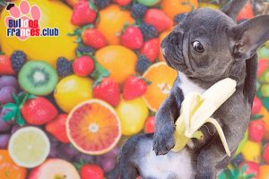 14 Frutas que tu bulldog francés puede comer