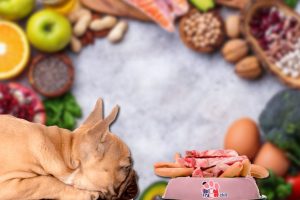 dieta barf para perros bulldog frances cruda