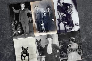 fotos antiguas origen del bulldog francés